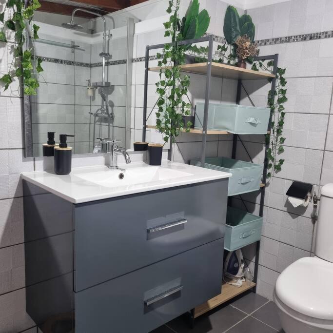 Charmant Studio D'Invite - Baie-Mahault Zewnętrze zdjęcie